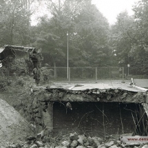 Brug-Wieenweg010