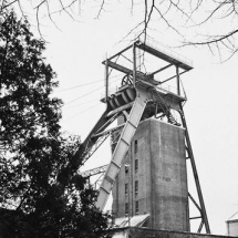DEMIJNSTREEK-Beerenbosch_6