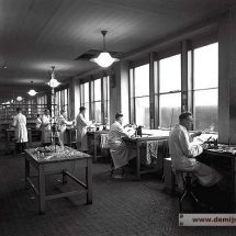 Glasinstrumentenmakerij Centraal Laboratorium 1950